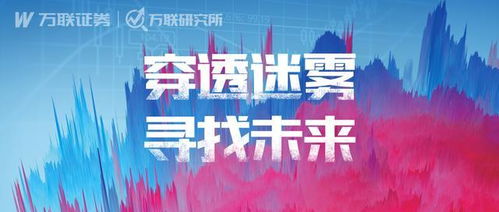 萬聯(lián)證券年度A股投資策略報告 紡織服裝行業(yè)投資管理與咨詢深度解讀